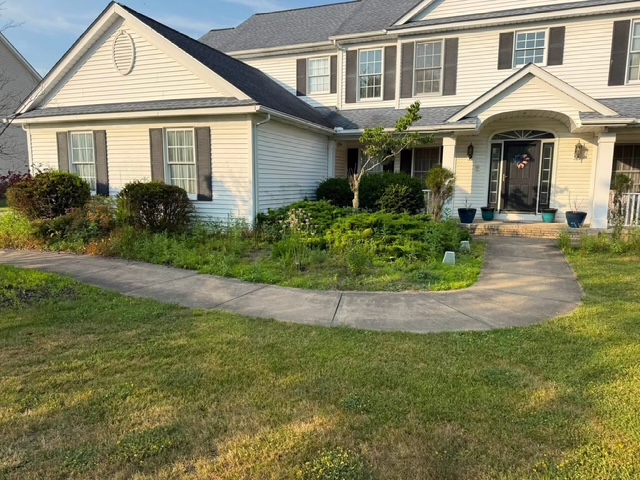 Front yard bed before landscape cleanup and mulch renovation