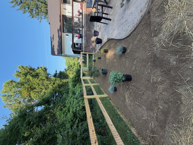 Backyard landscape bed layout with plants staged before mulch