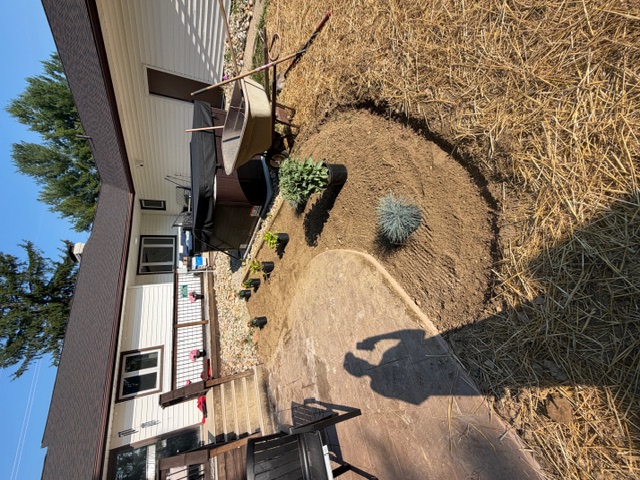 Backyard bed preparation with plants staged beside patio