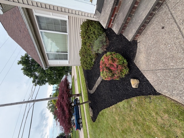 Front landscape bed after fresh dark mulch and cleanup