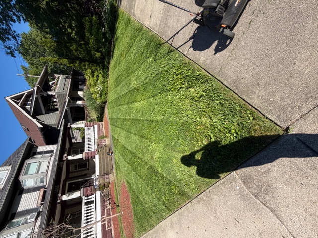 Freshly mowed front lawn with clean stripes in front of a Cleveland home
