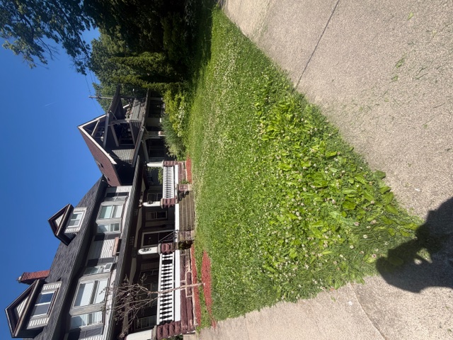 Overgrown front lawn before mowing and lawn maintenance