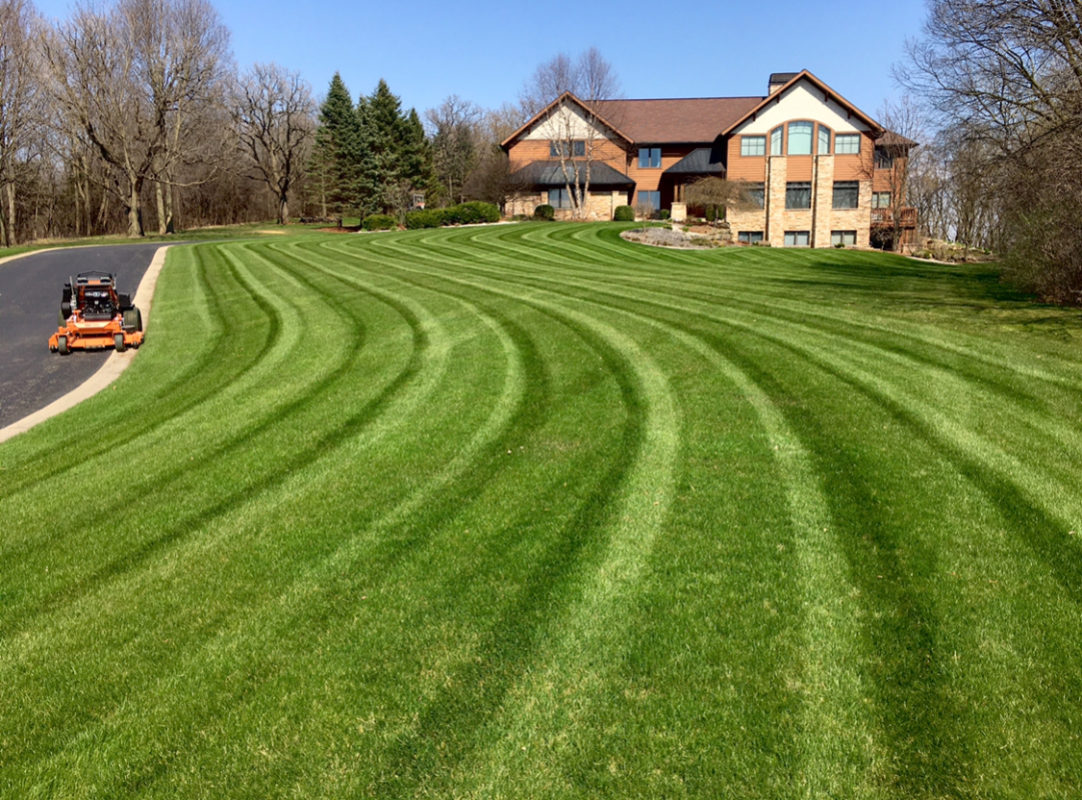 Freshly mowed green lawn with clean stripes in Greater Cleveland