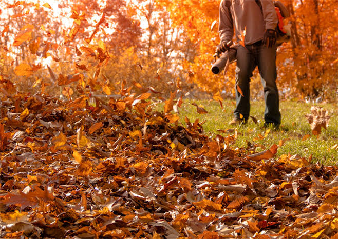 Leaf Removal in Greater Cleveland